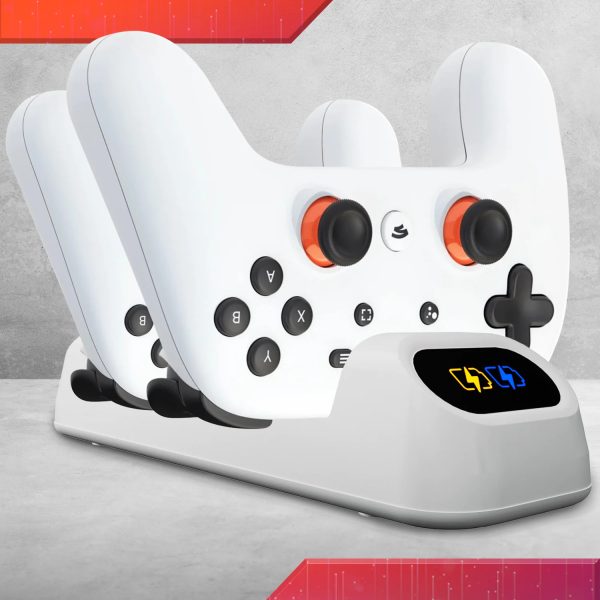 Dual Controller Charging Dock