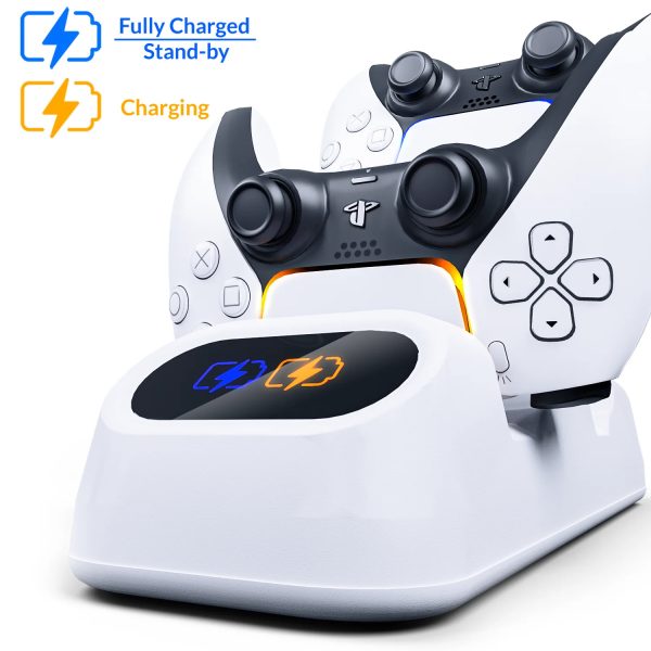 Dual Controller Charging Dock